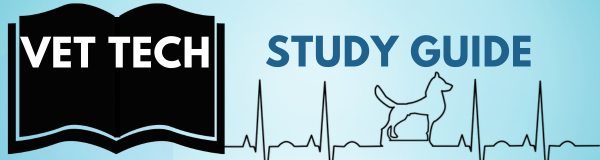 Vet Tech Study Guides for Veterinary Nursing Students in College and Classes Website Logo